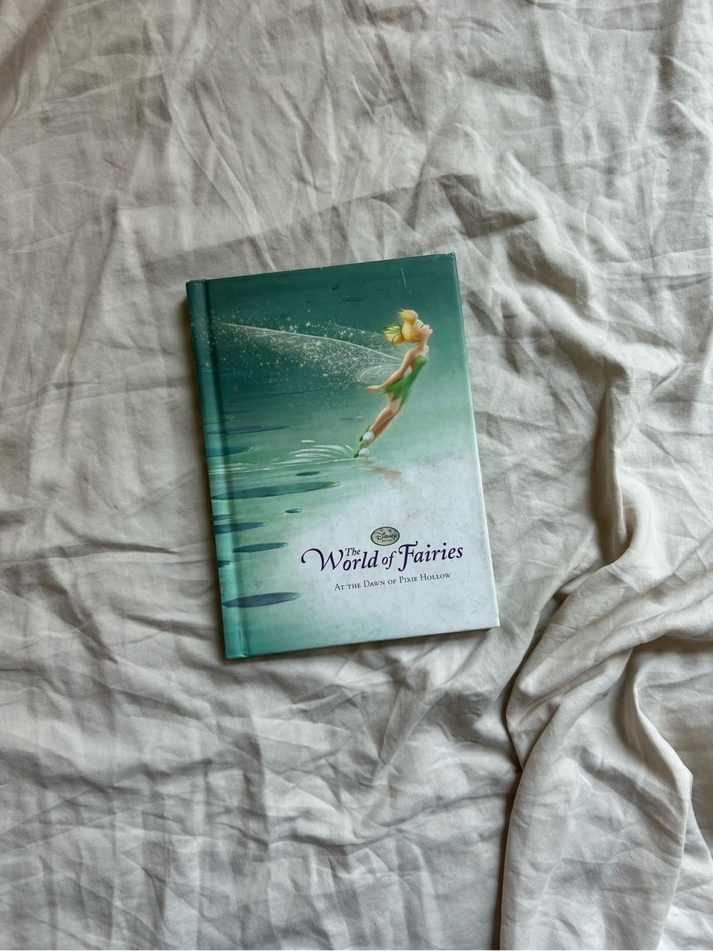Disney Fairies The World of Fairies At the Dawn of Pixie Hollow Book